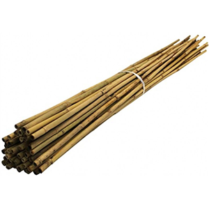 Bamboo Canes 4ft 10 Canes.